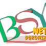 bsynet-logo2.png